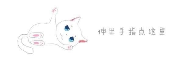 橘猫意外成为父亲，守护新生小猫与媳妇，浓浓责任感使主人欣慰