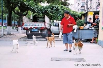 河南省安阳：女子被不拴绳的狗咬伤，狗主人在第一次注射后拒绝再负责